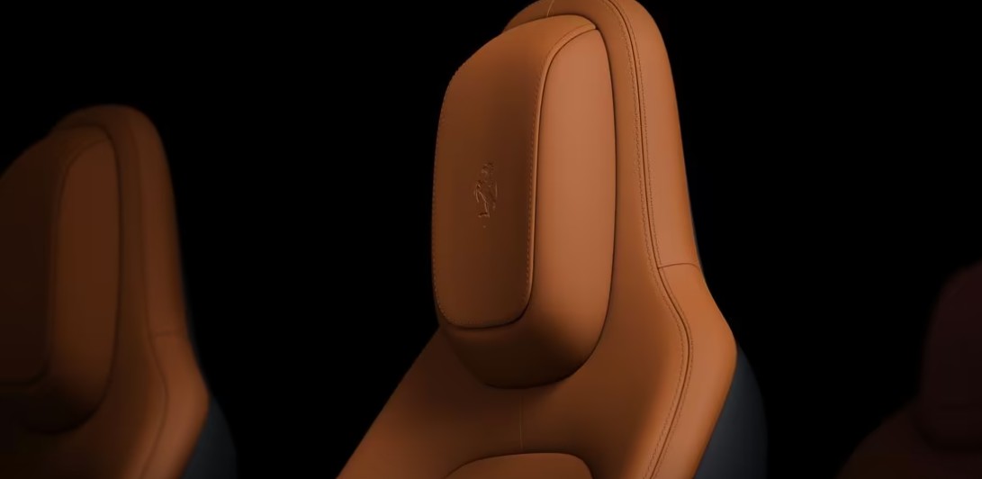 Ferrari seat covers leather